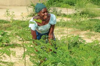 Moringa in Niger unterstützen - werden Sie Changemaker
